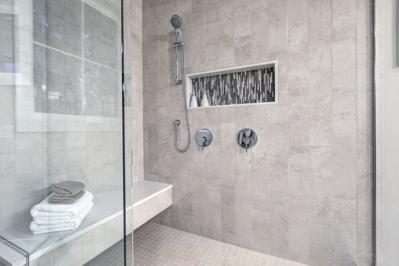 Elegant Shower Remodels